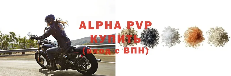 APVP СК КРИС  Шагонар 